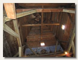 IMG_1550
