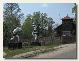IMG_1610