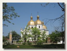 IMG_1624