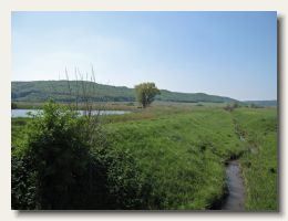 IMG_1797