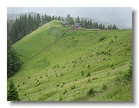 Góry Hryniawskie