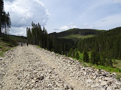 Droga wzdłuż doliny Błotniaka