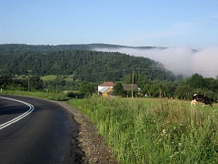 Prałkowce