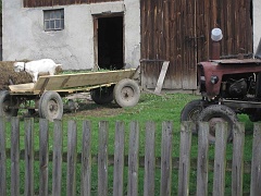 Rybotycze