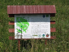 Trójca
