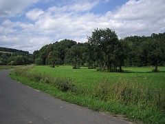 Grąziowa