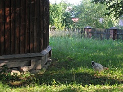 IMG 6315