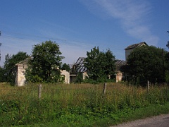 IMG 6341