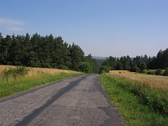 IMG 6344