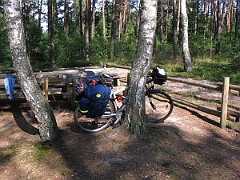 IMG 6350