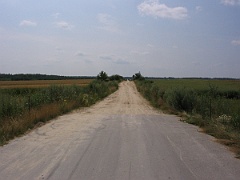 IMG 6458