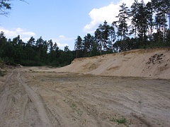 IMG 6463