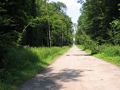 IMG 6491