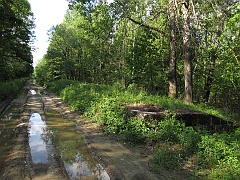 Młyny