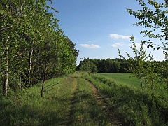 Młyny