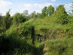 Młyny