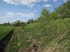 Młyny