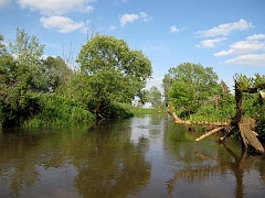 Tuchla