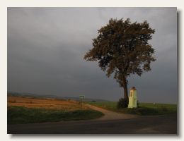 IMG_3390