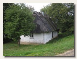 IMG_3398
