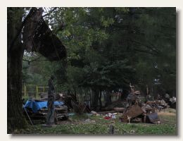 IMG_3495