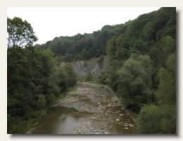 IMG_3535