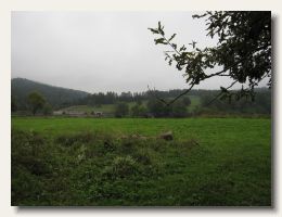 IMG_3554