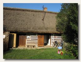IMG_3668