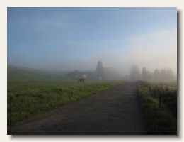 IMG_3687