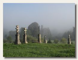 IMG_3699