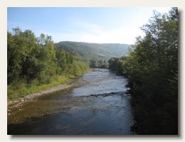 IMG_3717