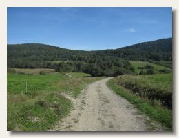 IMG_3726