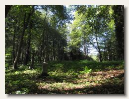 IMG_3744