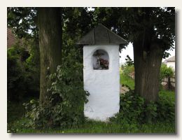 IMG_2778