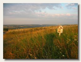 IMG_8382