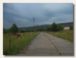 IMG_8523