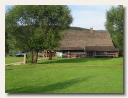 IMG_8603