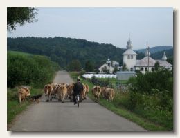 IMG_8615