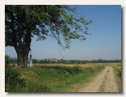 IMG_8630