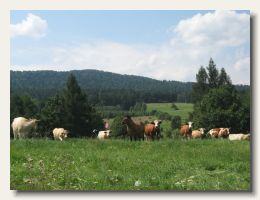 IMG_8679