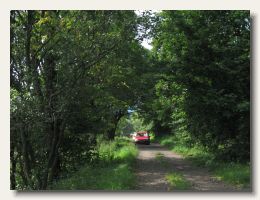 IMG_8688
