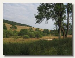 IMG_8700