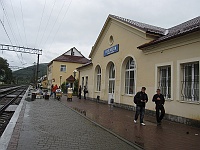 Wołowiec