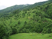 Kołczawa