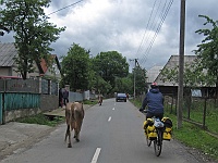 Kołczawa