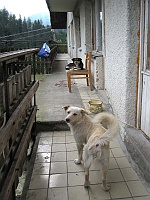 Ust Czorna