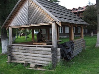 Jasinia
