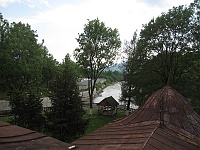 Jasinia