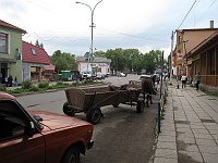Jasinia