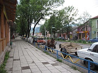 Jasinia